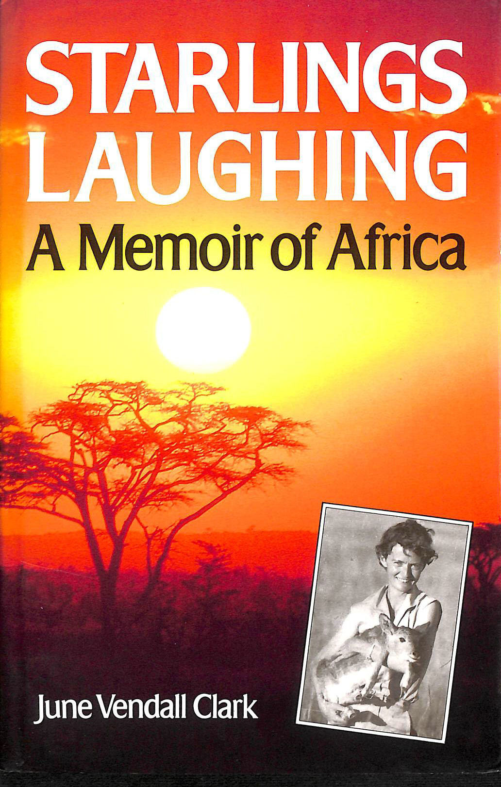CLARK, JUNE VENDALL - Starlings Laughing: A Vision of Africa