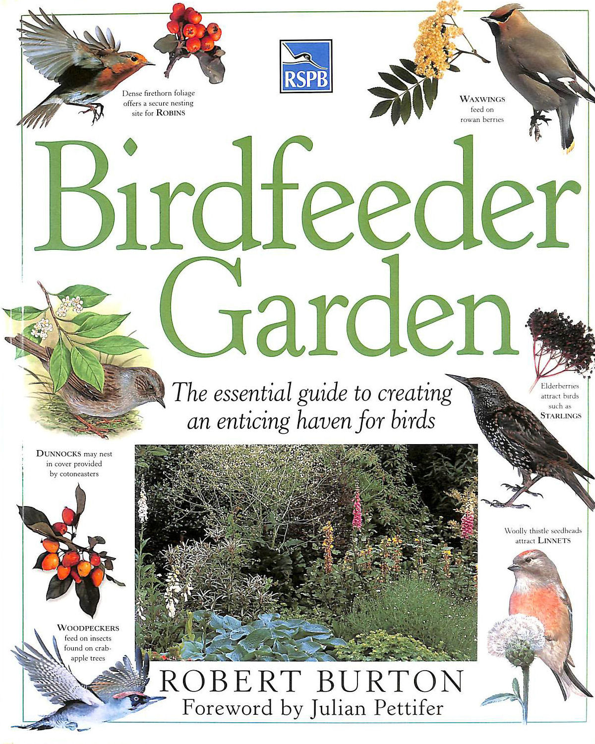 BURTON, ROBERT - RSPB Birdfeeder Garden: The essential guide to creating an enticing haven for birds
