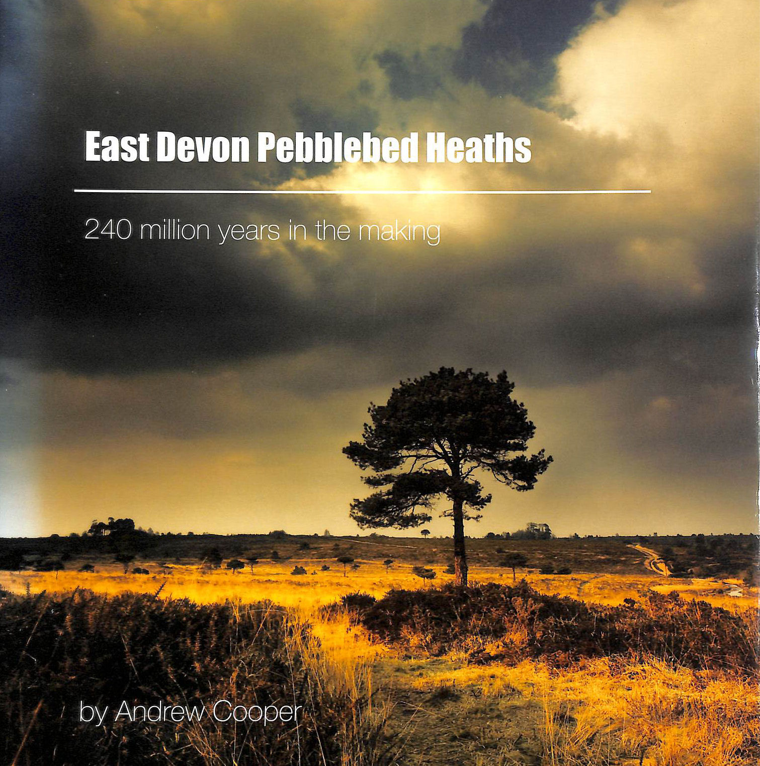 ANDREW COOPER - East Devon Pebblebed Heaths: 240 Million Years in the Making