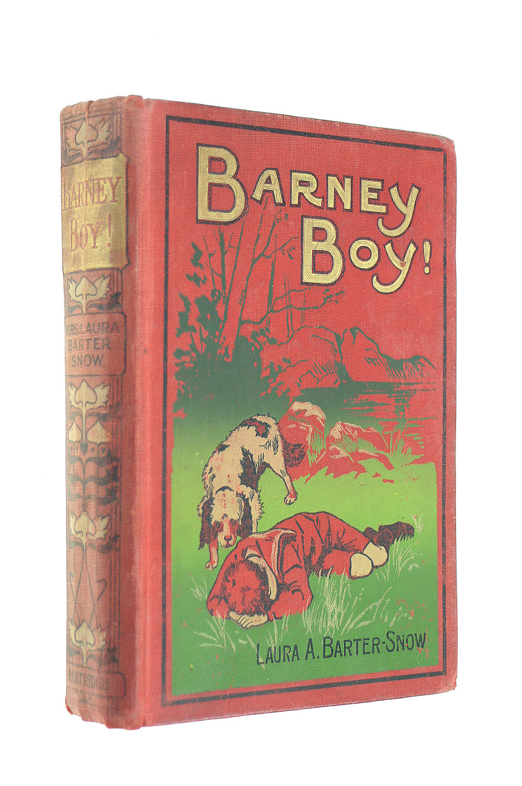 BARTER-SNOW, LAURA - Barney Boy!