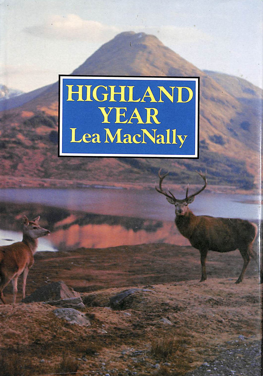 MACNALLY, LEA - Highland Year