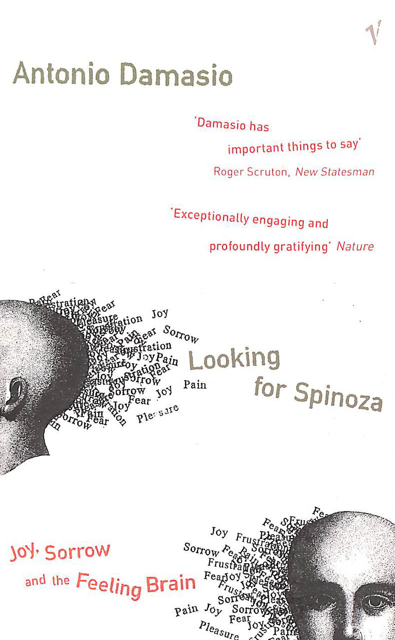 DAMASIO, ANTONIO - Looking for Spinoza