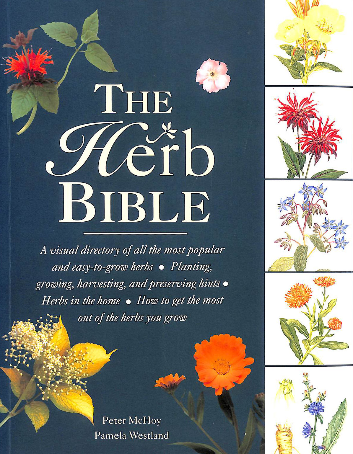 MCHOY, PETER, WESTLAND, PAMELA - The Herb Bible