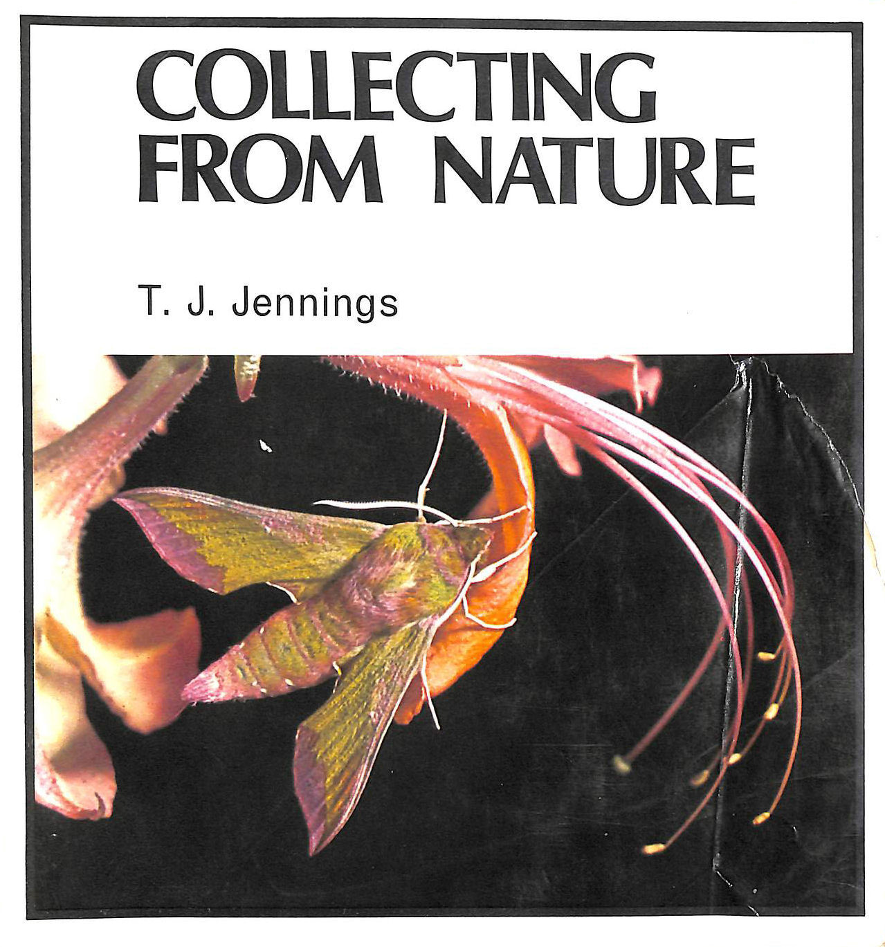 JENNINGS, TERRY - Collecting from Nature