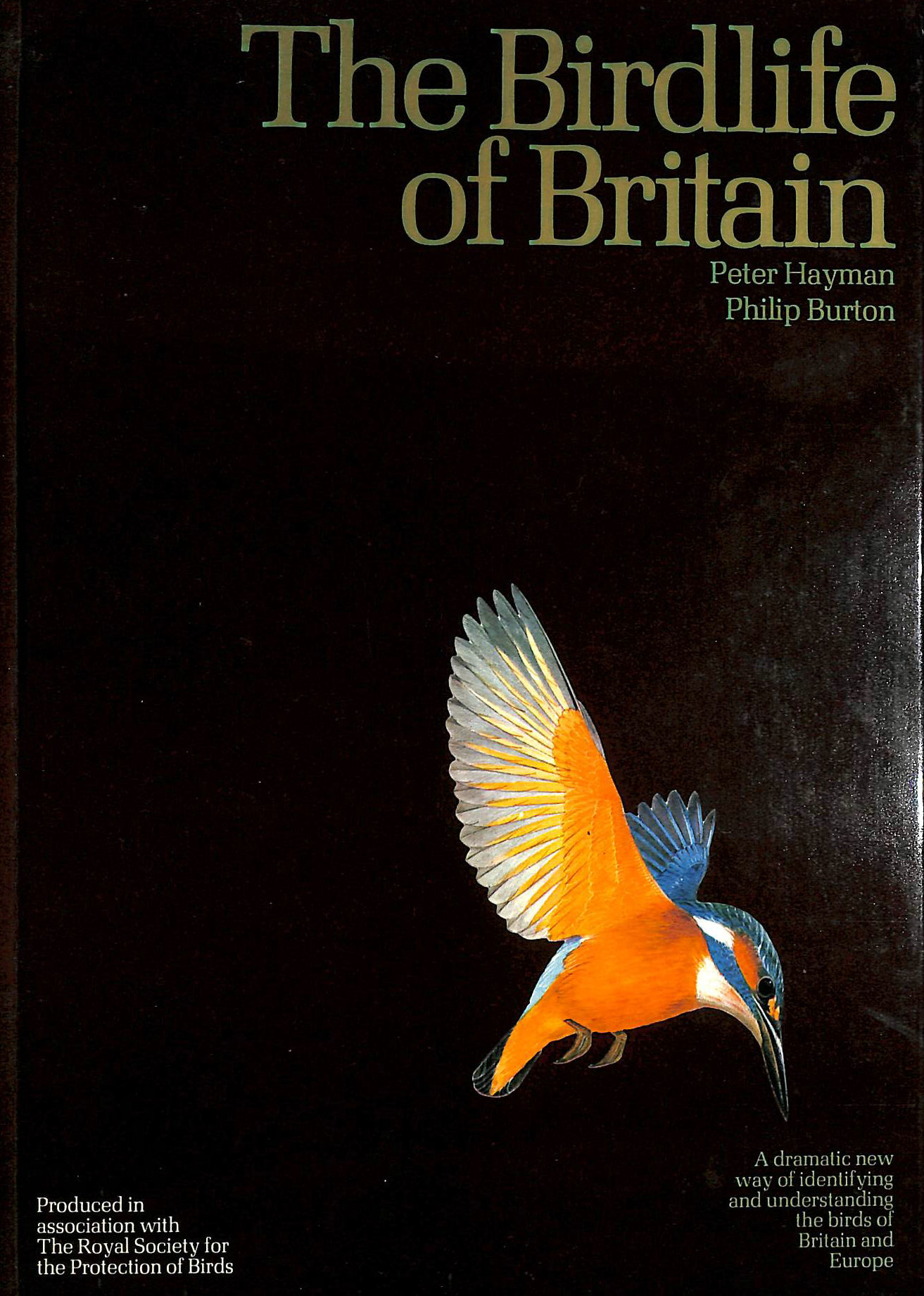 BURTON, PHILIP - Bird Life of Britain