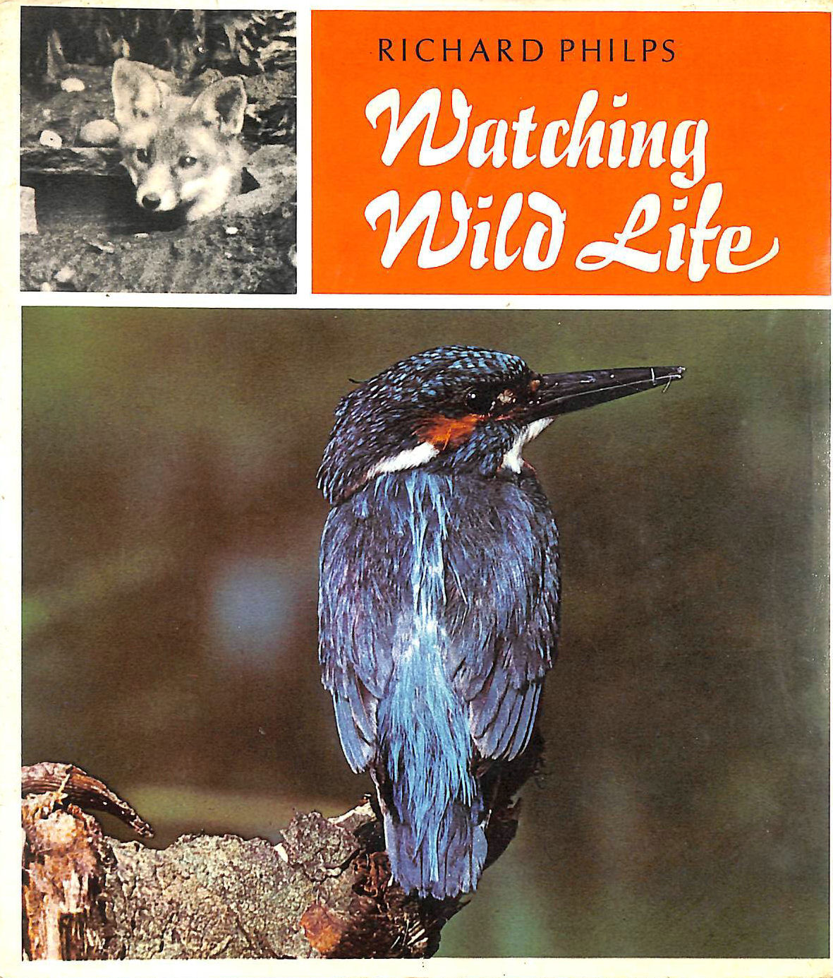 PHILPS, F.R. - Watching Wild Life