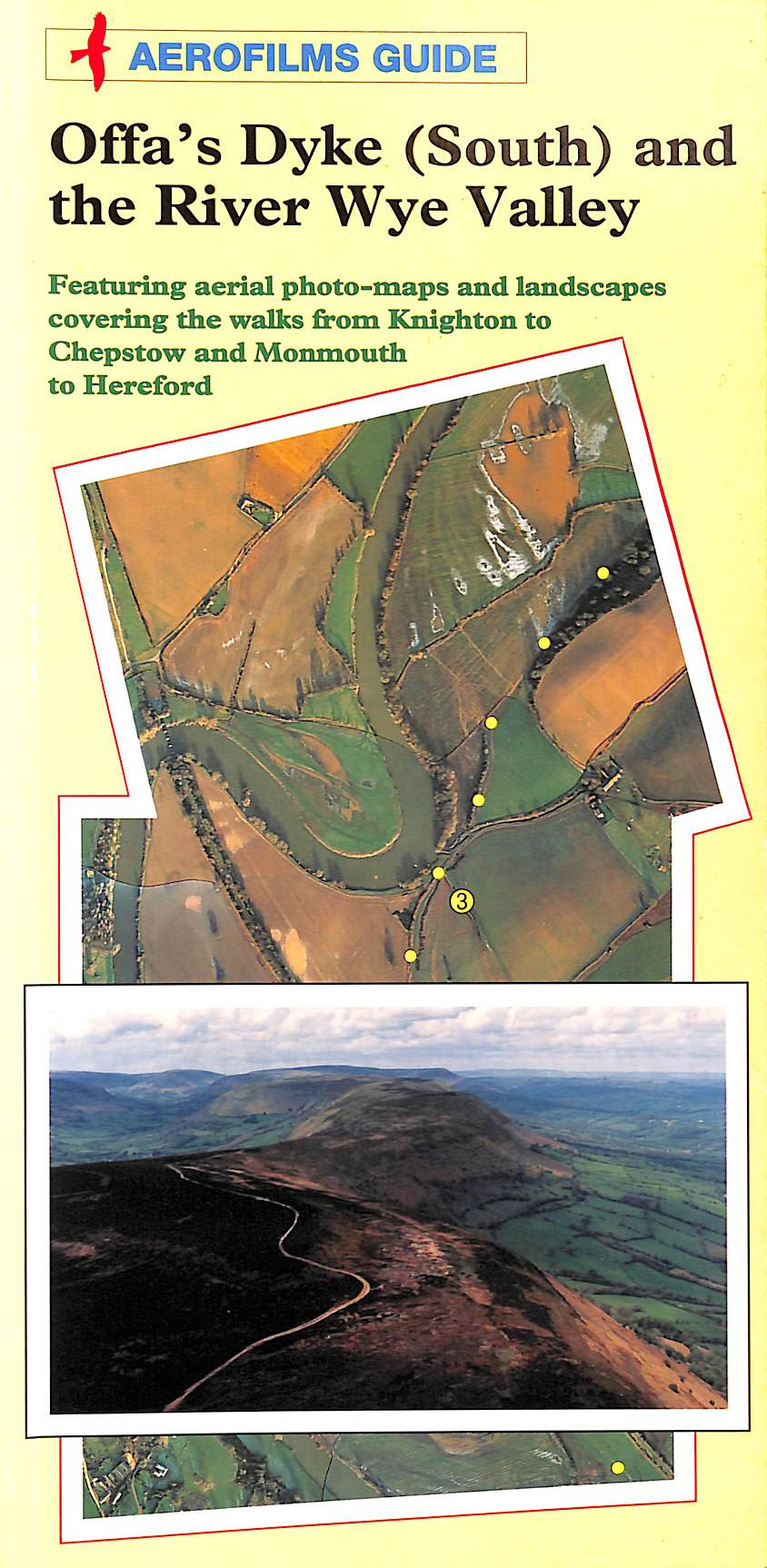 D HANNIGAN - Offa's Dyke South and the Wye Valley (Aerofilms)