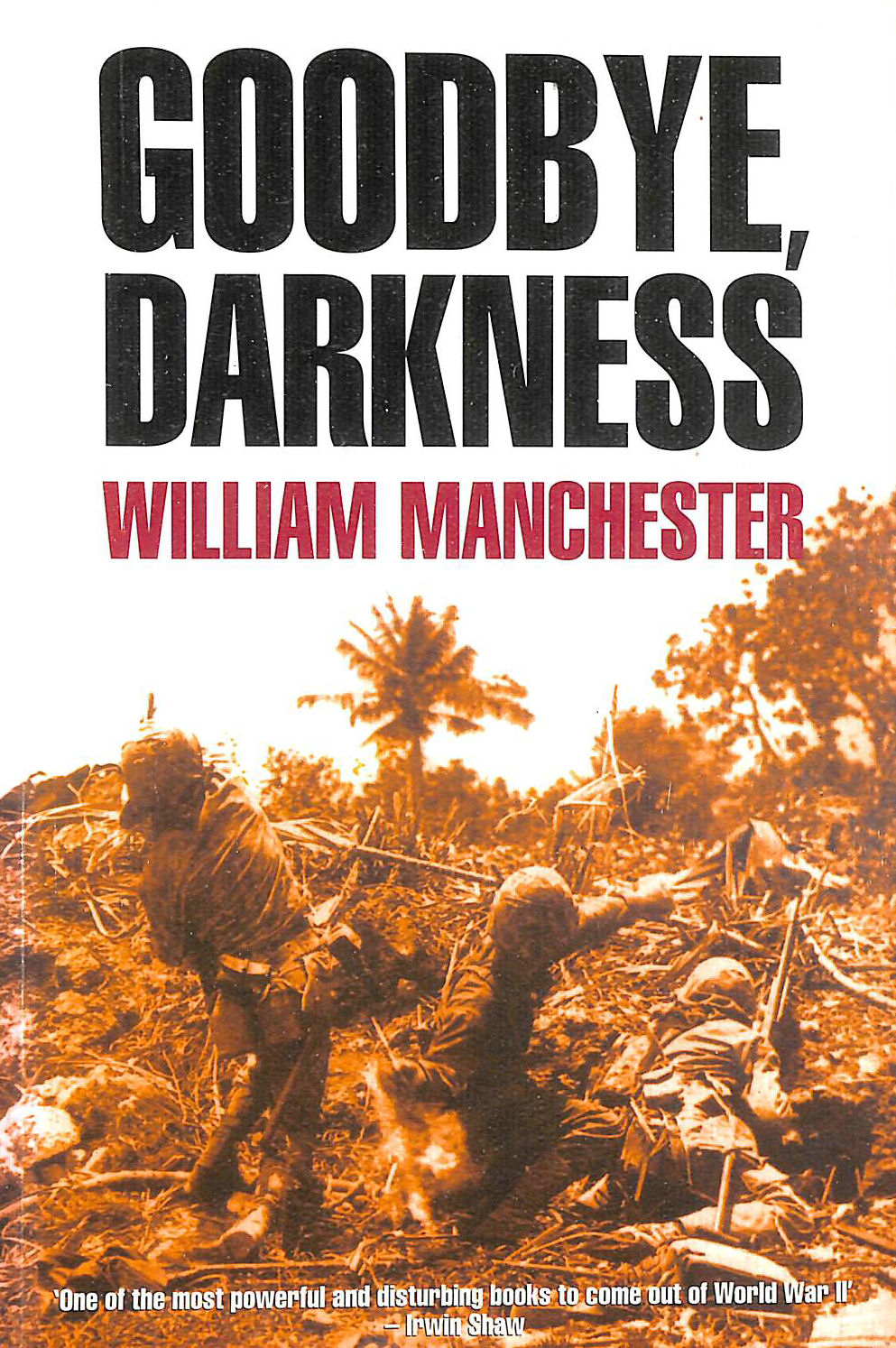 WILLIAM MANCHESTER - Goodbye Darkness