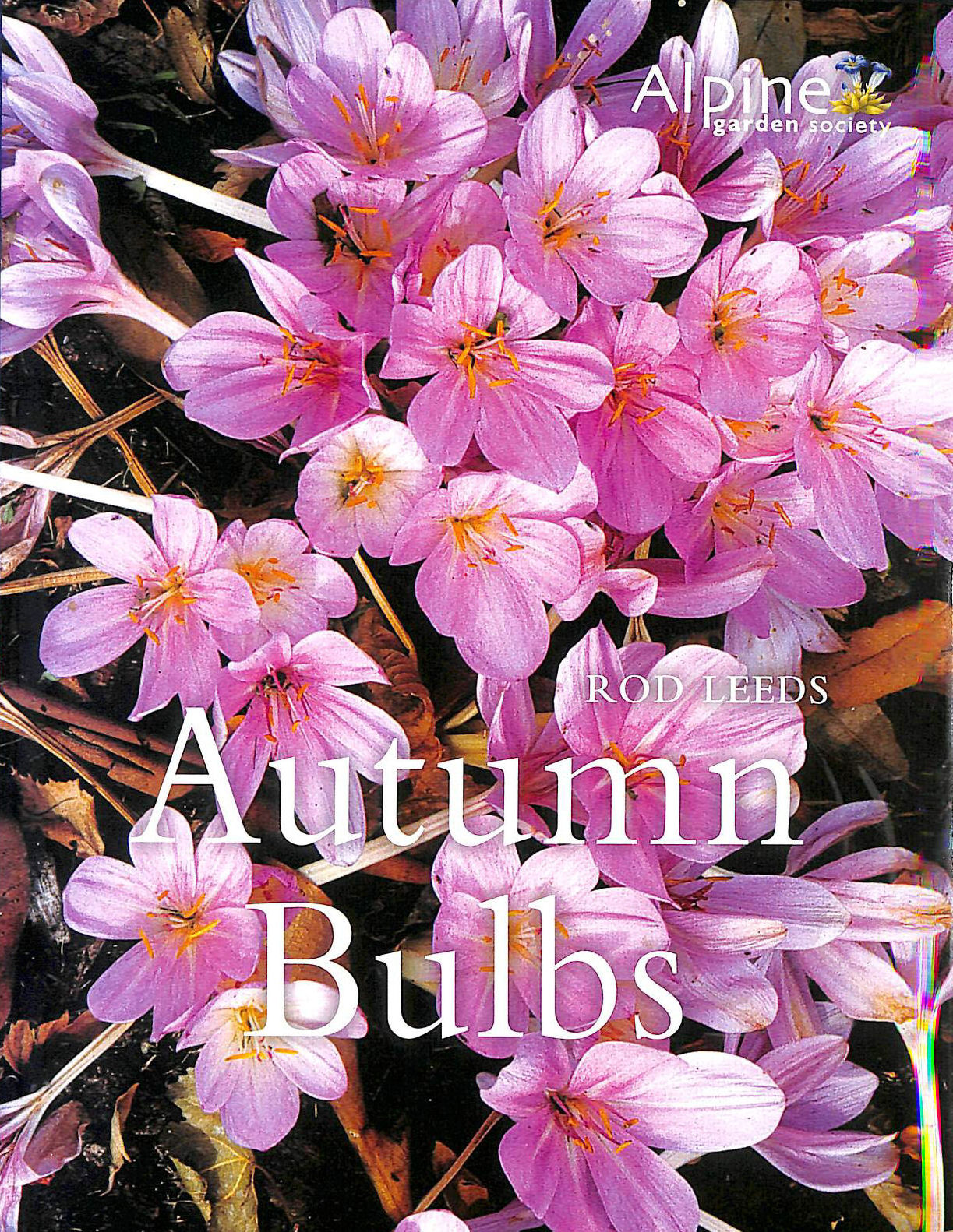 ROD LEEDS - Autumn Bulbs