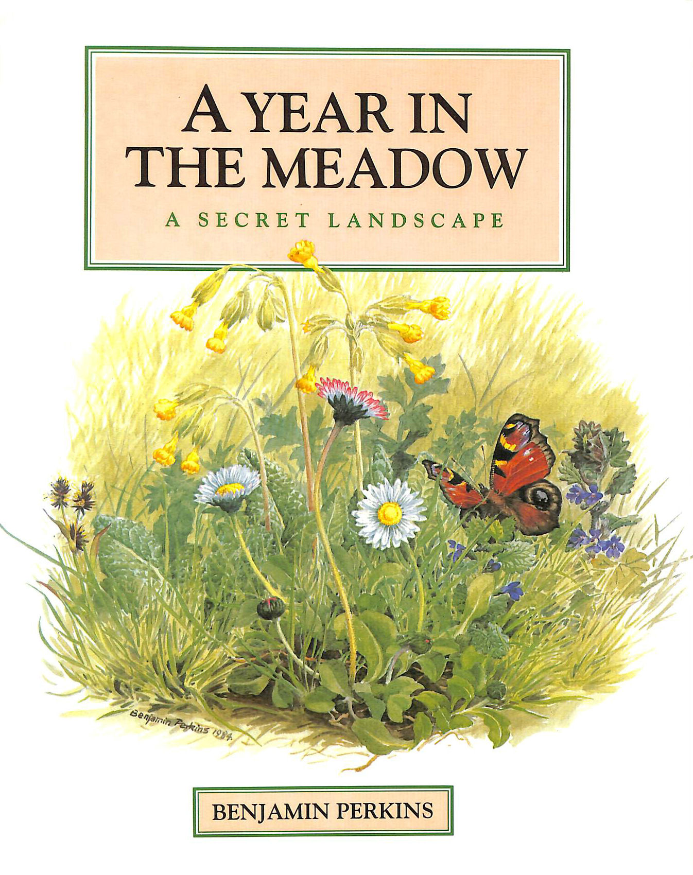 BENJAMIN PERKINS; BENJAMIN PERKINS. [ILLUSTRATOR] - A Year in the Meadow: The Secret Landscape
