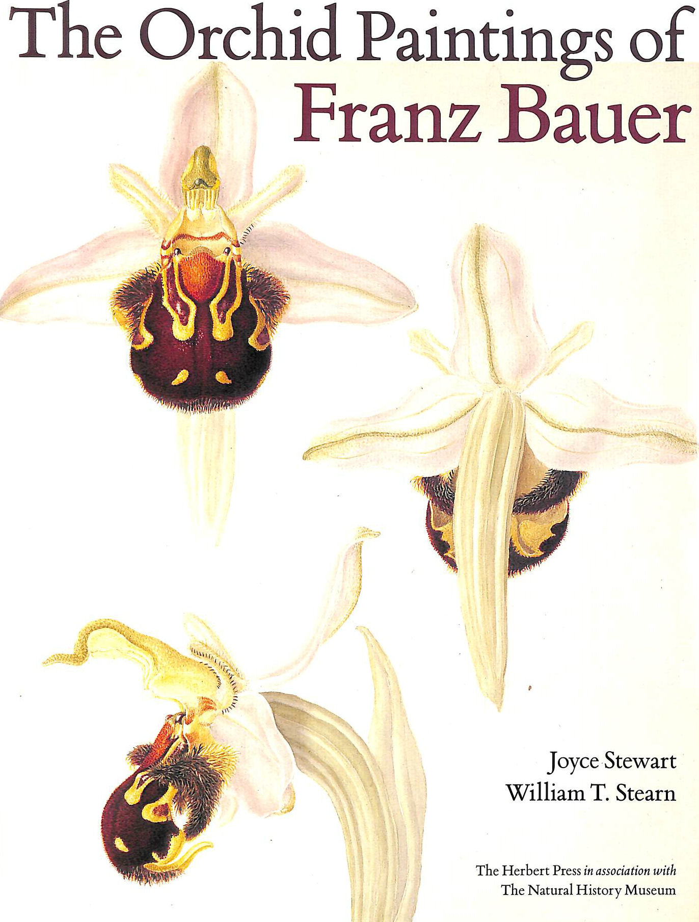 STEWART, J.; STEARN, WILLIAM T.; MACKENZIE, JULIA [EDITOR] - The Orchid Paintings of Franz Bauer (Art Reference)