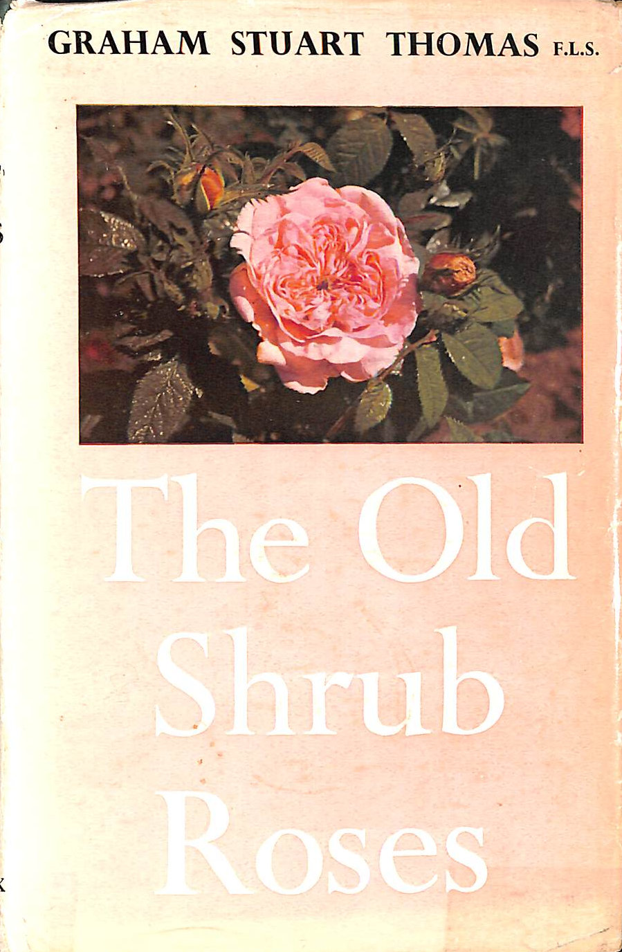 THOMAS, GRAHAM STUART - The Old Shrub Roses with Chapters on the evolution of Our Garden Rose