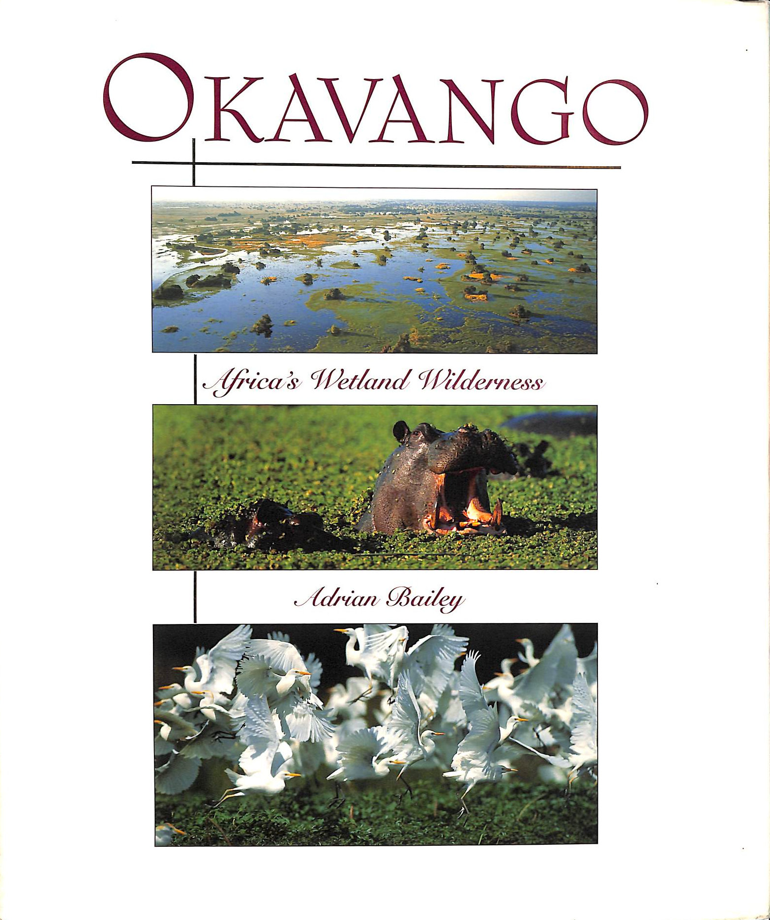 A BAILEY - Okavango: Wetland Wilderness