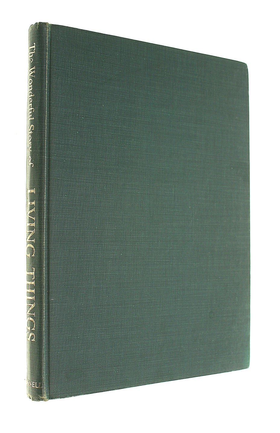 M GABB - The Wonderful Story Of Living Things