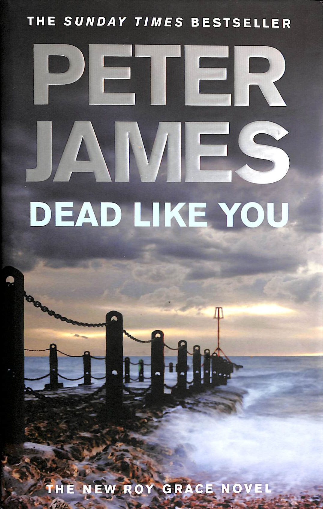 JAMES, PETER - Dead Like You