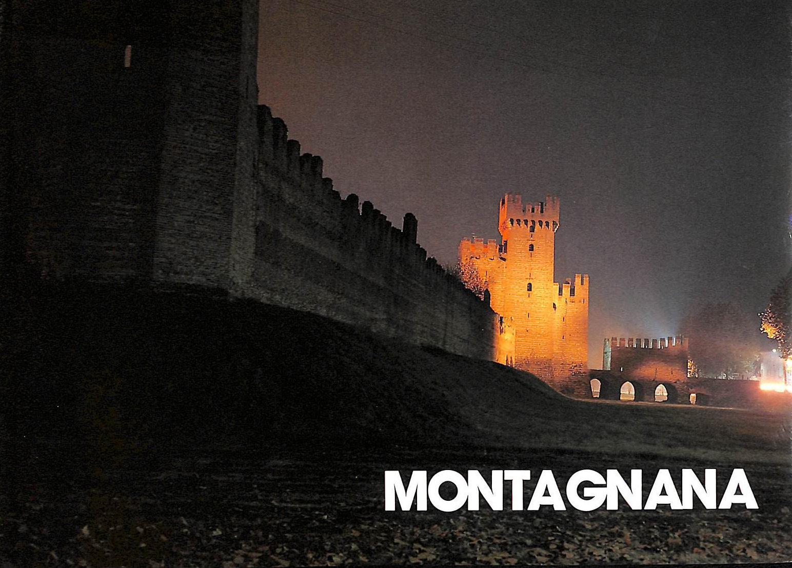 MARIA CRISTINA VITALI - Montagnana