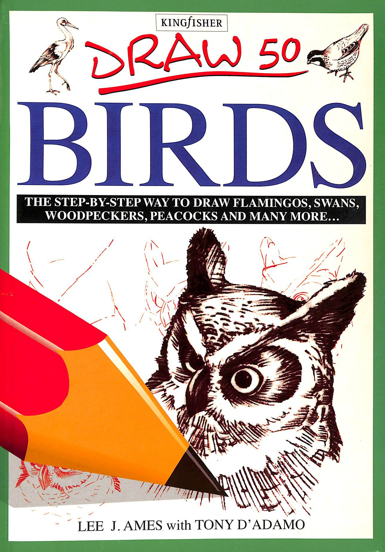 LJ AMES. T D'ADAMO - Draw 50 Birds (Draw 50 S.)