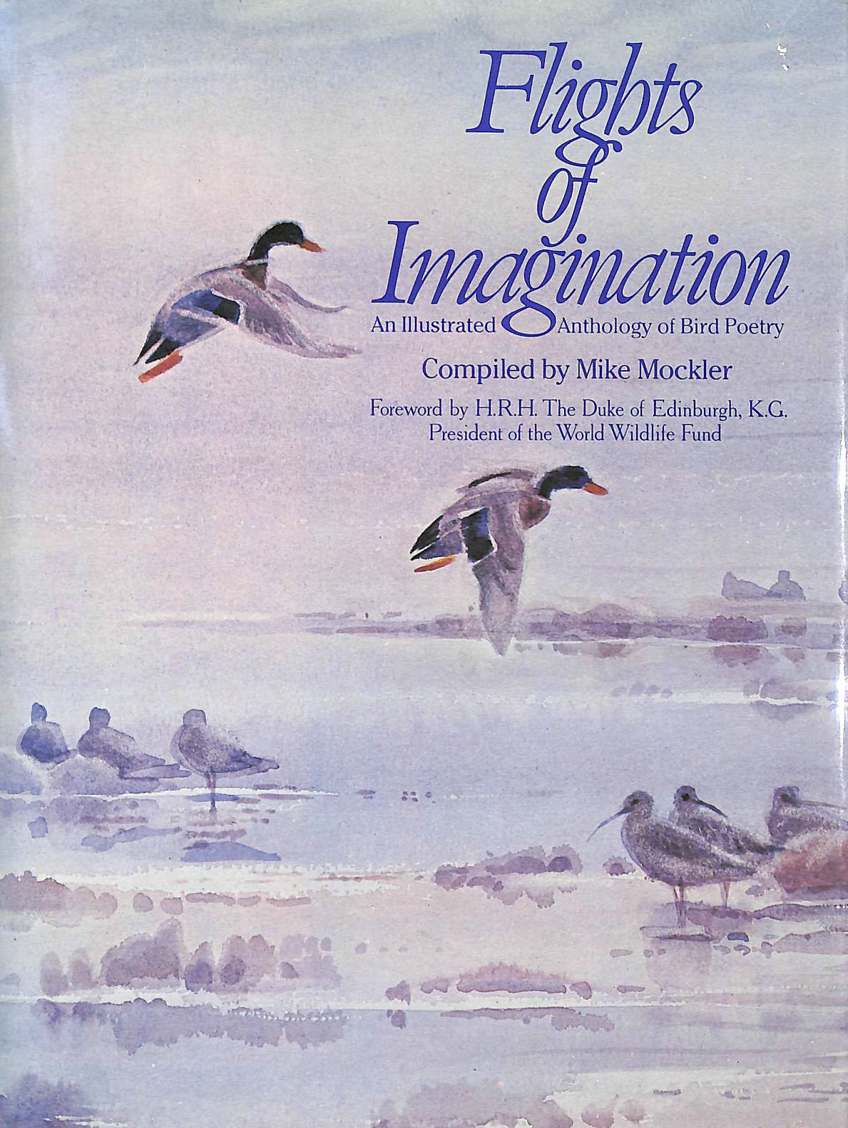  - Flights of Imagination: An Illustrated Anthology of Bird Poetry