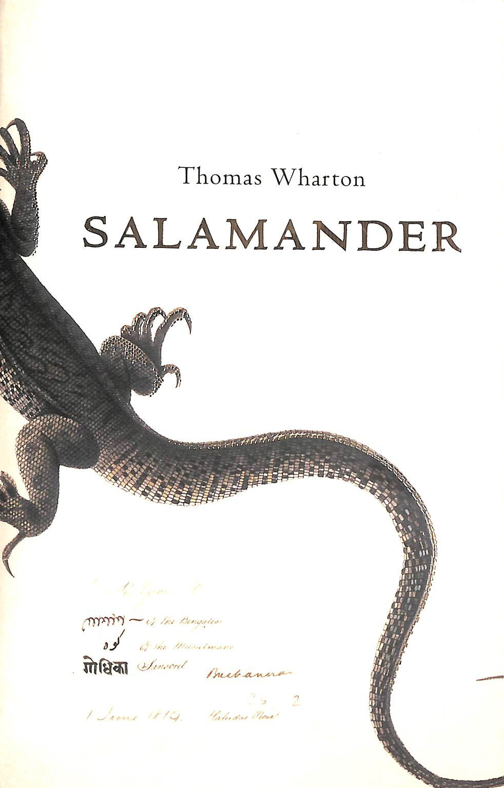 WHARTON, THOMAS - Salamander