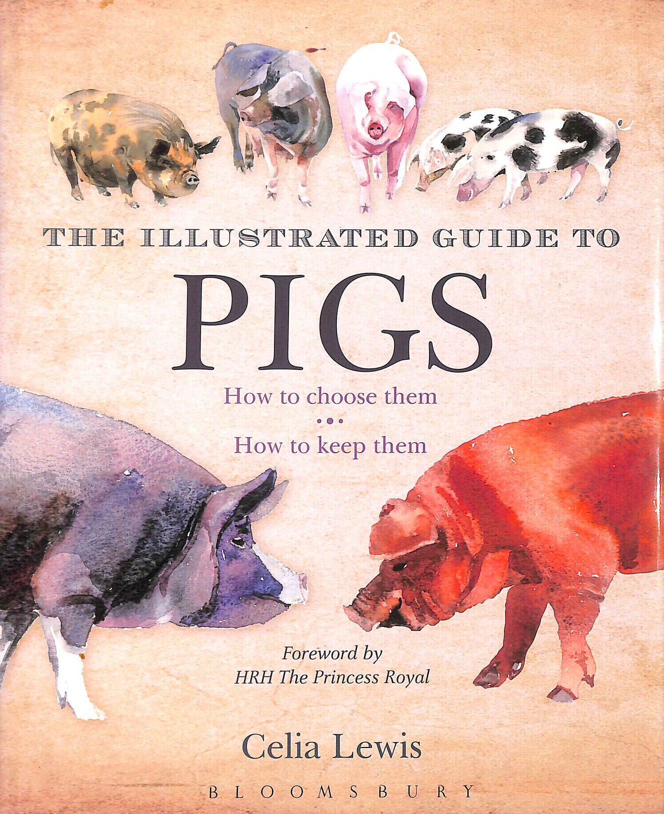 LEWIS, CELIA - The Illustrated Guide to Pigs: How To Choose Them - How To Keep Them