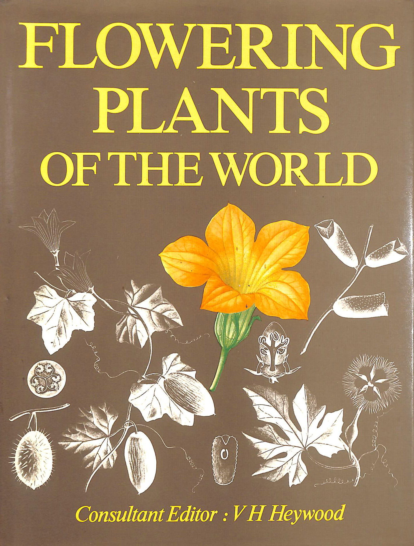 HEYWOOD, V. H. [EDITOR] - Flowering Plants of the World