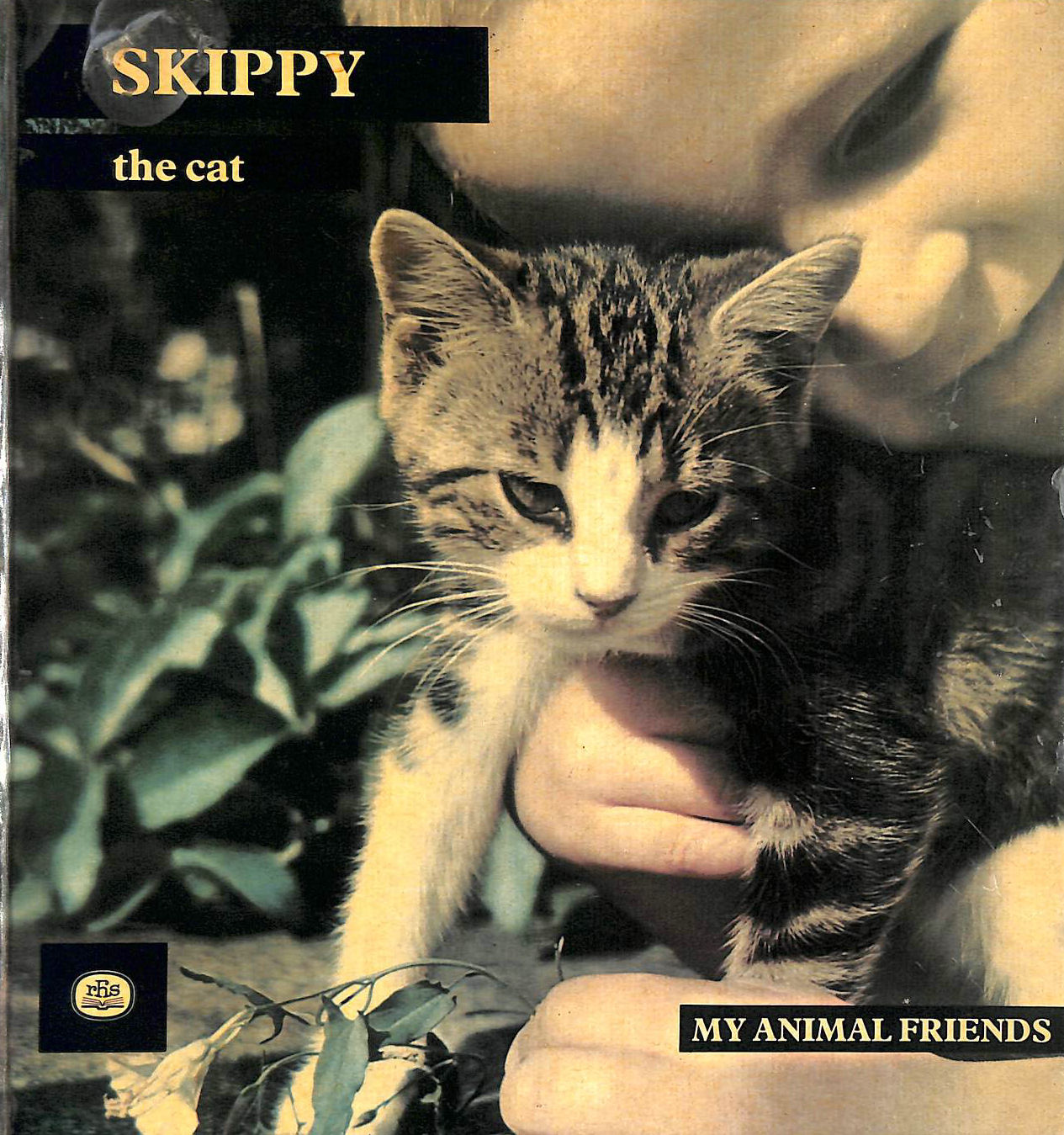 PAJOT, ANNE-MARIE - Skippy the Cat