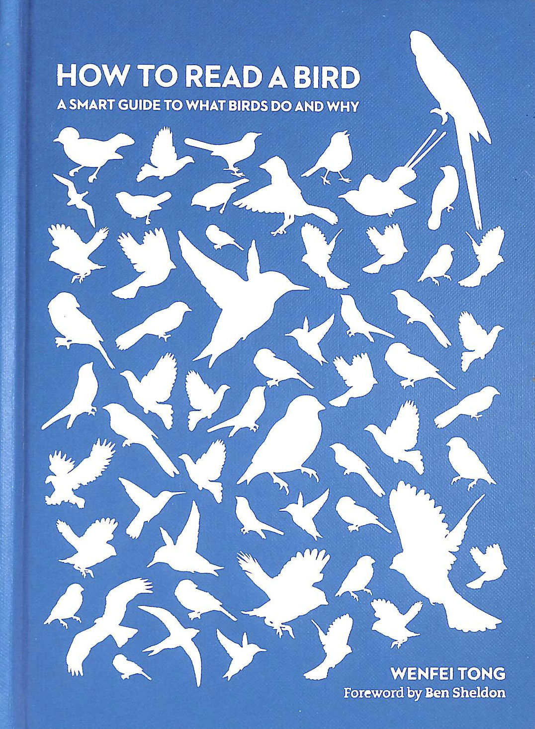 TONG, DR WENFEI - How to Read a Bird: A Smart Guide to What Birds Do and Why: 1 (Smart Animal Guides, 1)