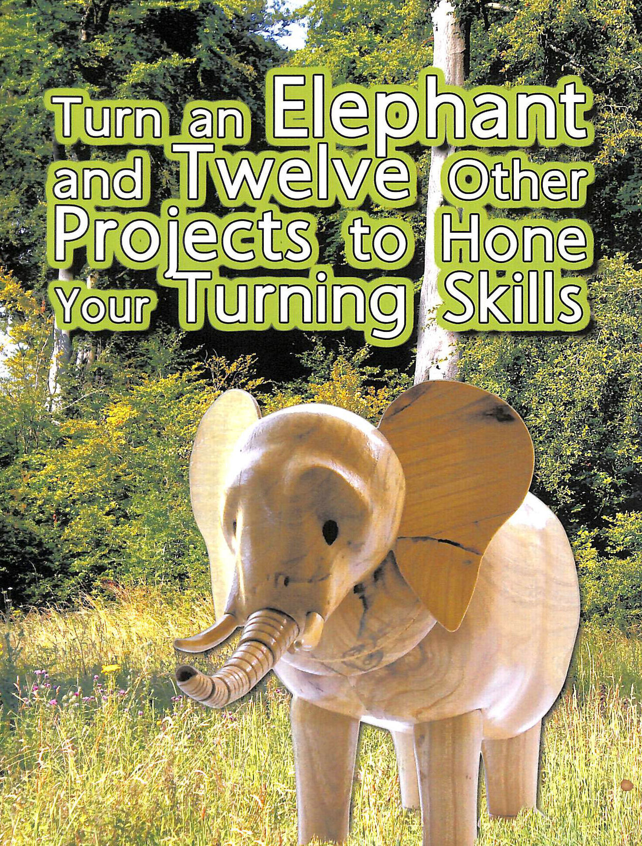 ORAM, BRIAN - Turn an Elephant and Twelve Other Projects to Hone Your Turning Skills