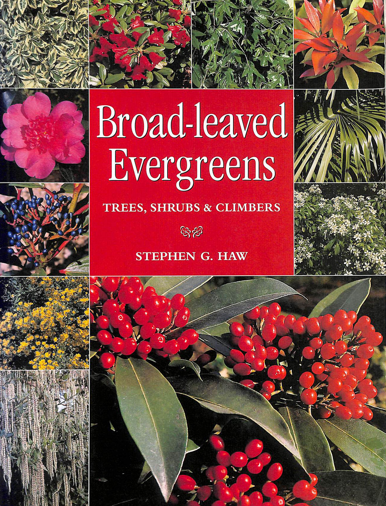 HAW, STEPHEN G. - Broad-leaved Evergreens: Trees, Shrubs and Climbers