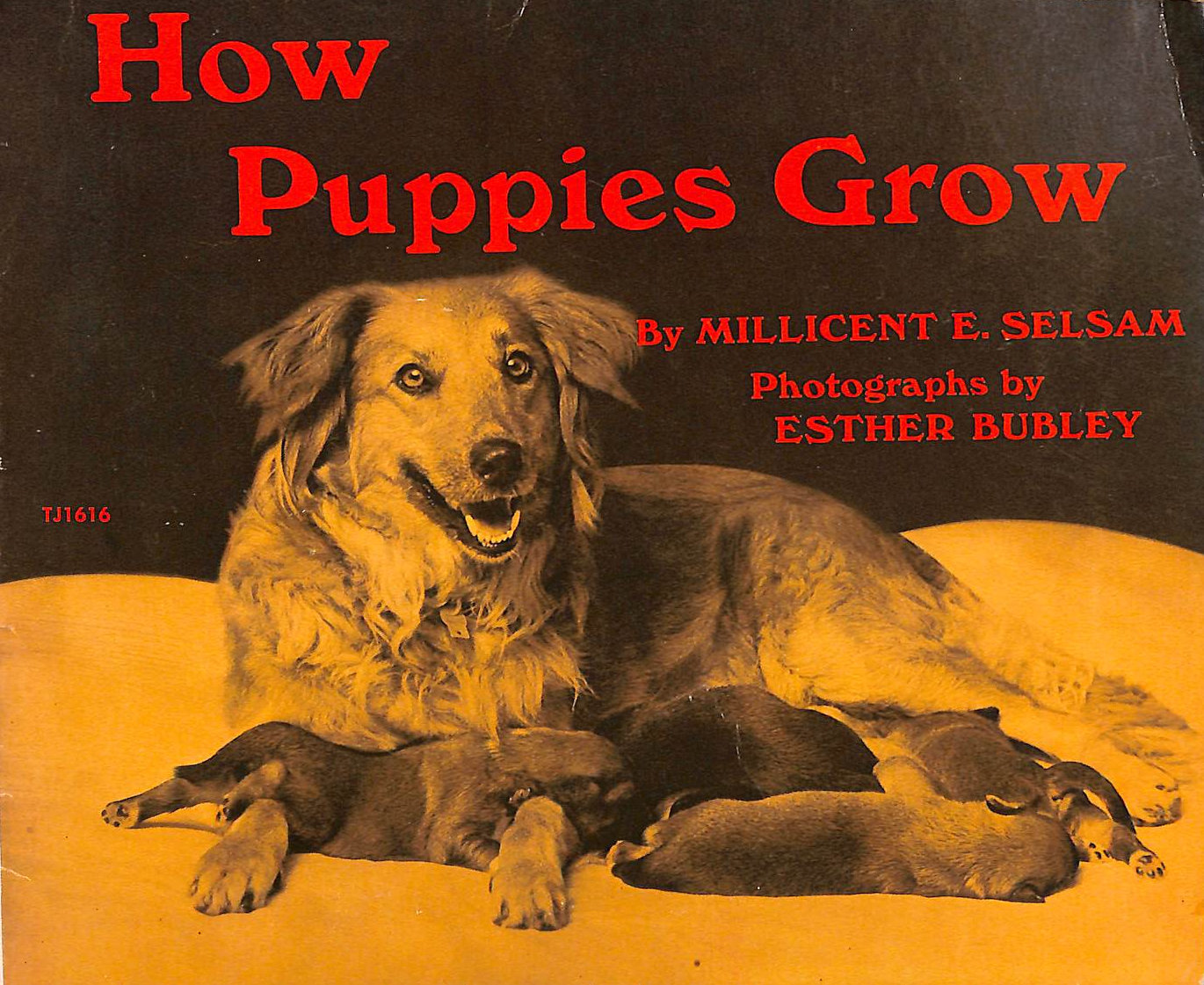 MILLICENT-SELSAM - How Puppies Grow