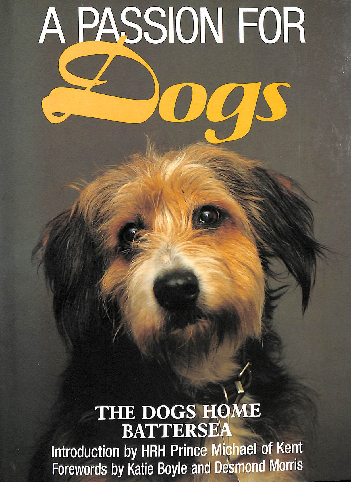 HOME, BATTERSEA DOGS & CATS - A Passion for Dogs