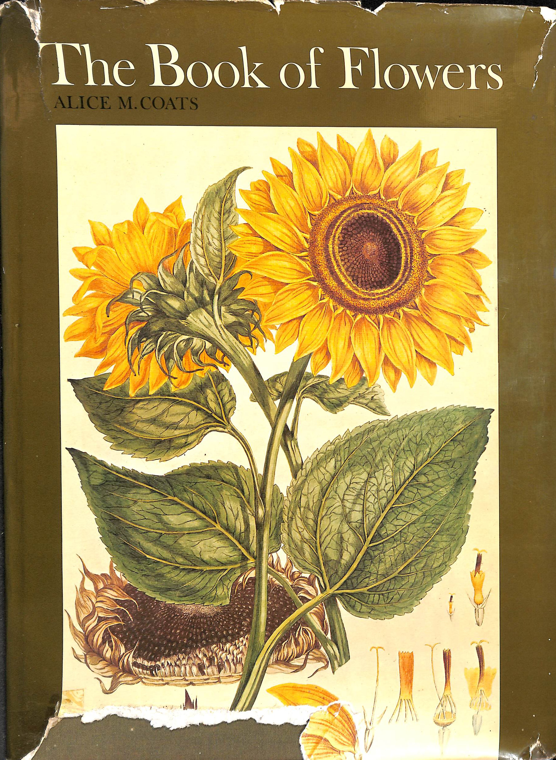 COATS, ALICE M. - Book of Flowers