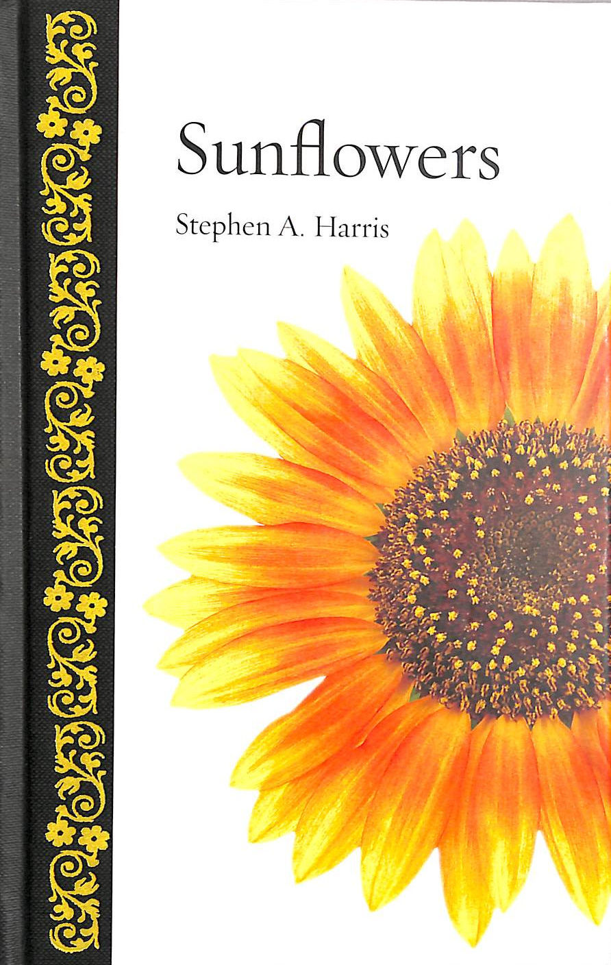 STEPHEN A. HARRIS - Sunflowers (Botanical)