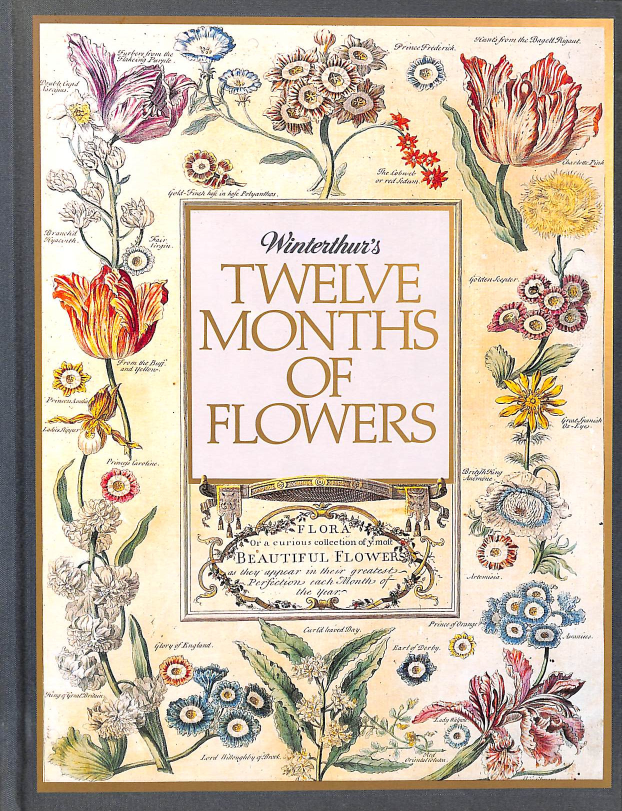 MACDONALD, LISA - Winterthur's Twelve Months of Flowers