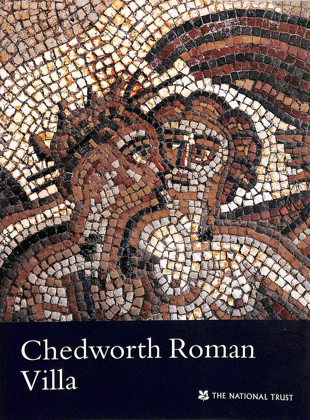 NATIONAL TRUST - Chedworth Roman Villa (National Trust Guidebooks)