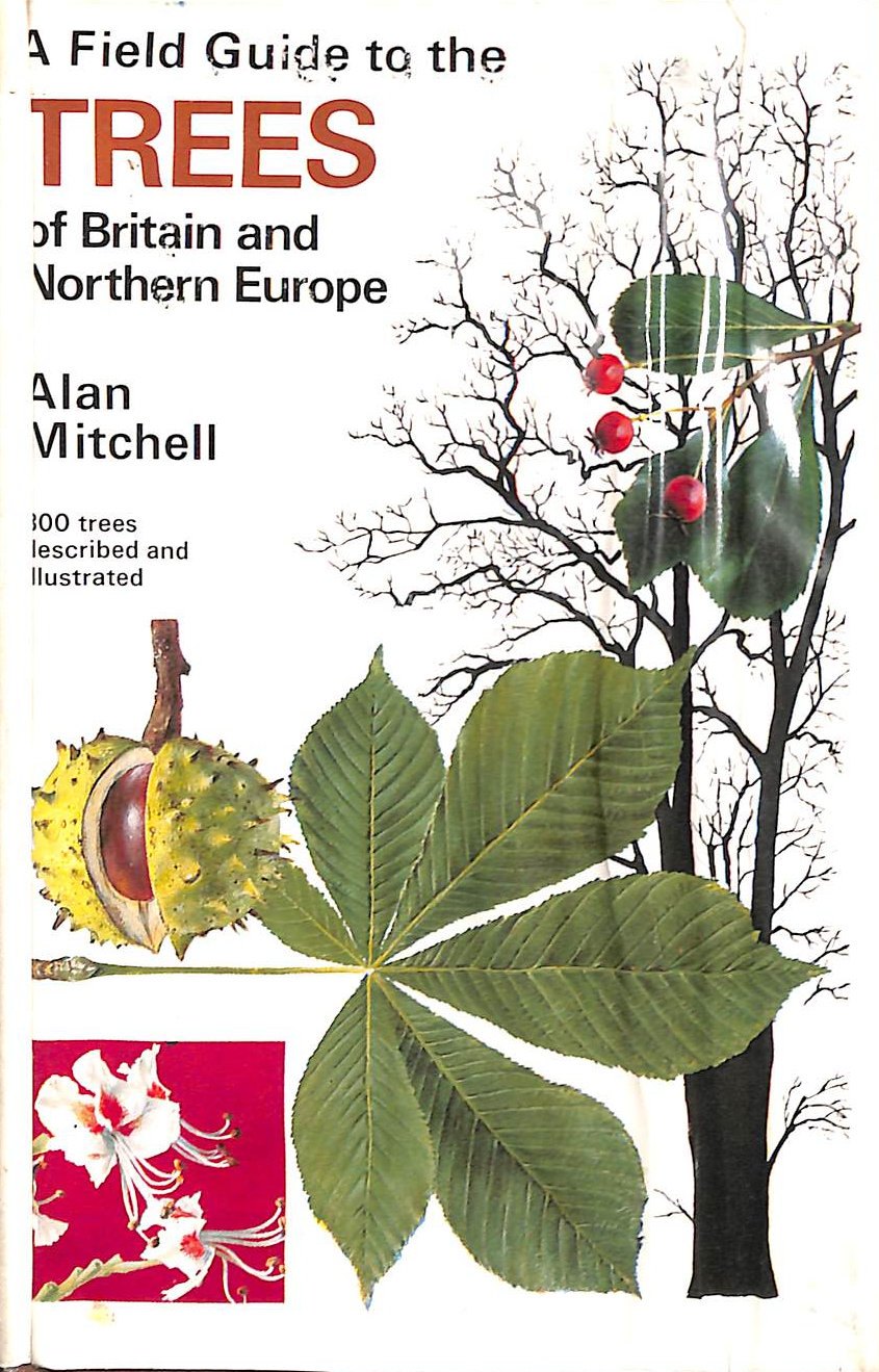 MITCHELL, ALAN - Field Guide to the Trees of Britain and Northern Europe