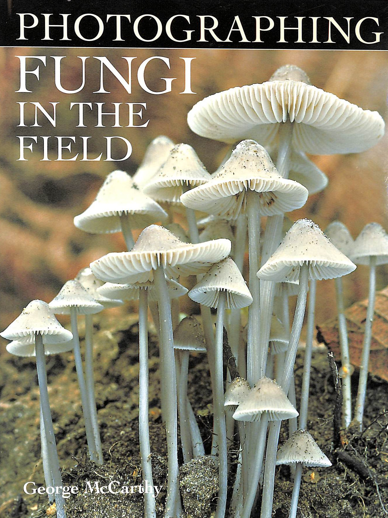 MCCARTHY, GEORGE - Photographing Fungi in the Field